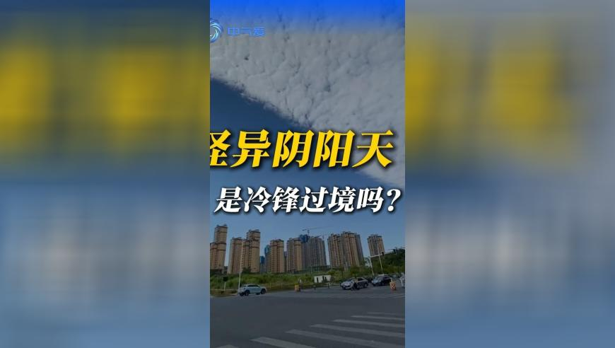 澳门精准王中王三肖三码2025,抖音副总裁回应摆拍视频乱象,国产化作答解释落实_VR版V1.61