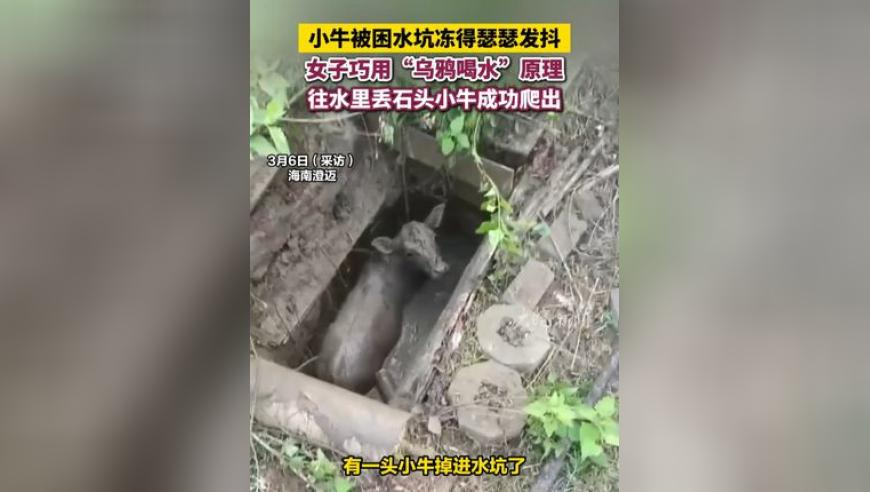 难哄,新澳彩资料免费长期公开2025,最新核心解答落实_开发版V15.84
